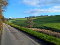 Dog Down Hill von Hukeley Bridge