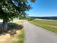 Dolinebühl from Löffingen