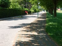 Domineesberg via Beukenlaan