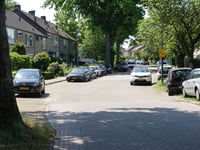Domineesberg via Beukenlaan