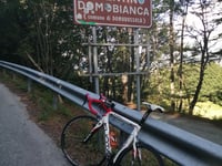 Domobianca von Domodossola