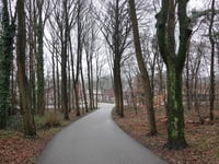 Donderberg von Darthuizen