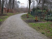 Donderberg von Darthuizen