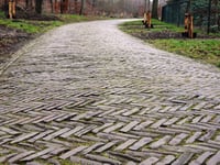 Donderberg von Darthuizen