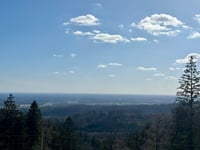 Dörenberg desde Bad Iburg