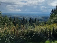 Dörenberg from Bad Iburg