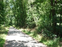 Dorperberg via Driepaalweg