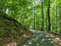 Drachenfels von Königswinter