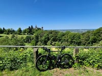 Drachenfels von Königswinter