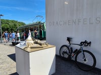 Drachenfels von Königswinter