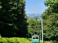 Drachenfels von Königswinter