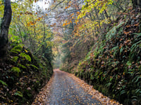 Draper's Way von Timberscombe