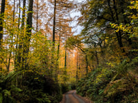 Draper's Way desde Timberscombe