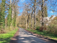 Dréhance über Walzin