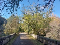 Dréhance über Walzin