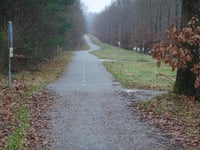 Dreijenseweg von Schaarsbergen