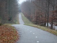 Dreijenseweg von Schaarsbergen