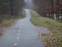 Dreijenseweg von Schaarsbergen