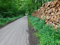 Dreiländereck Punkt via Keltenstrasse