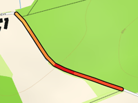 Drêve