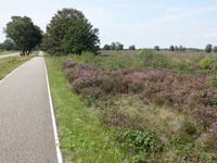 Drieberg da Groot Ginkel