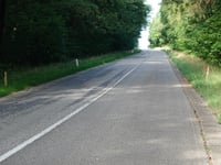 Driepaal