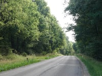 Driepaal