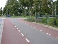 Dries par Burgemeester Ottenhoffstraat