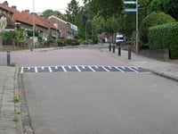 Dries par Burgemeester Ottenhoffstraat