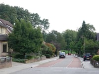 Dries par Burgemeester Ottenhoffstraat