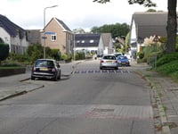Dries par Burgemeester Ottenhoffstraat