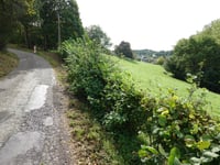 Driesch via Rue du Viaduc