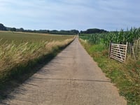 Driesweg & Paashofweg desde Dunberg