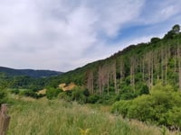 Drolenval