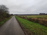 D'n Drul przez Wylerbaan