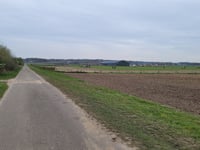 D'n Drul über Wylerbaan
