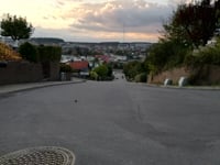 Duevej via Frydendalsvej