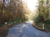 Duffenter über Wilhelminenstrasse