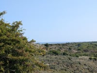 Duinhoevepad from Burgh-Haamstede