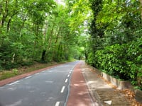 Duinweg desde Aagtdorp