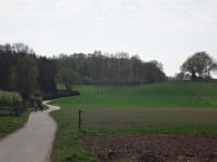 Duister Gatsken