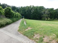 Duivels Bosch