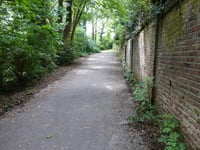 Duivels Bosch