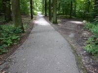 Duivels Bosch