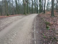 Duivelsberg von Berg en Dal