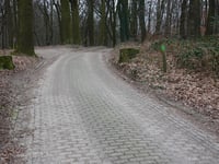 Duivelsberg von Berg en Dal