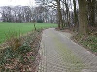 Duivelsberg von Berg en Dal