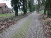 Duivelsberg von Berg en Dal