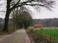 Duivelsberg von Berg en Dal