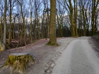 Duivelsberg von Berg en Dal